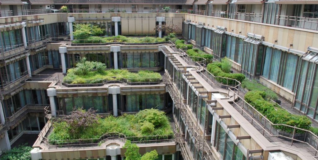 Θεσσαλονίκη: 4 εκατ. ευρώ για πράσινα δώματα και κάθετους κήπους μέσω ΕΣΠΑ