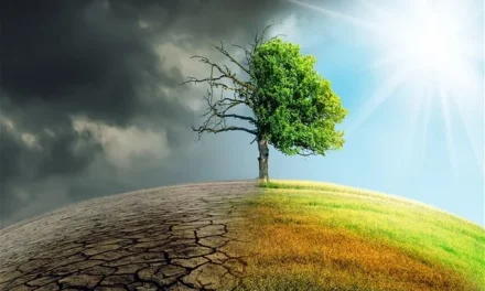 ΑΠΘ: Έρευνα για τις καταστροφικές επιπτώσεις της κλιματικής αλλαγής στην Ελλάδα