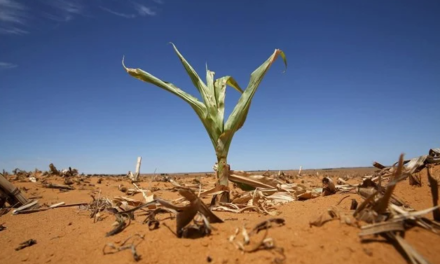 Ολόκληρες περιοχές δεν θα είναι πλέον κατοικήσιμες τις επόμενες δεκαετίες λόγω της ακραίας ζέστης