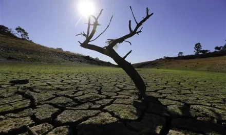 Είκοσι φορές πιθανότερες οι μεγάλες ξηρασίες τα καλοκαίρια λόγω κλιματικής αλλαγής