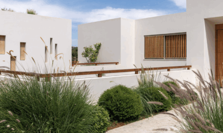 Ένα πρότυπο «πράσινης» αρχιτεκτονικής — Casa Incognita